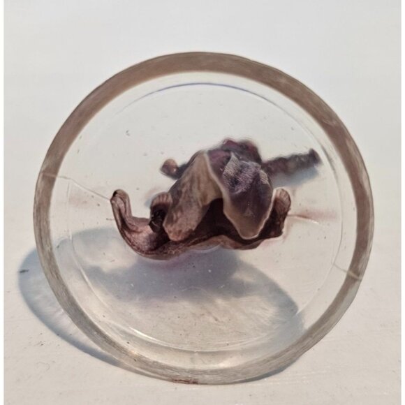 Magic the Gathering Arena of the Planeswalkers Arlinn Kord Replacement Figure - Picture 3 of 4